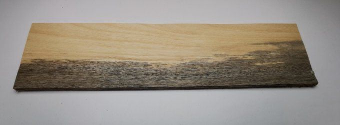 Koto bleuté 71 x 17 cm L62