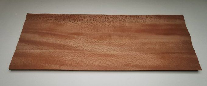 Platane maillé 77 x 27 cm L167