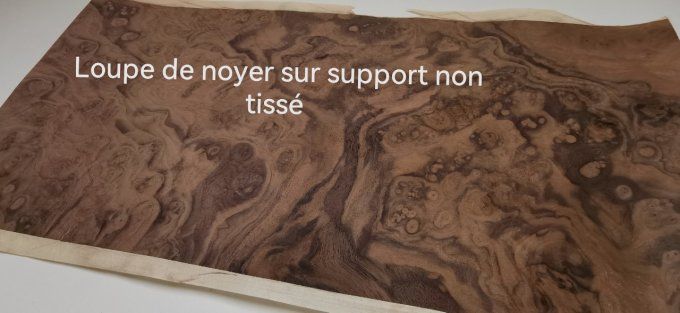 Loupe de noyer sur support non tissé 61 x 28 cm  A