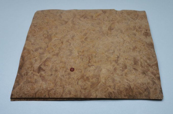 Lot 8x Loupe d'Amboine  23 x 20 cm L207